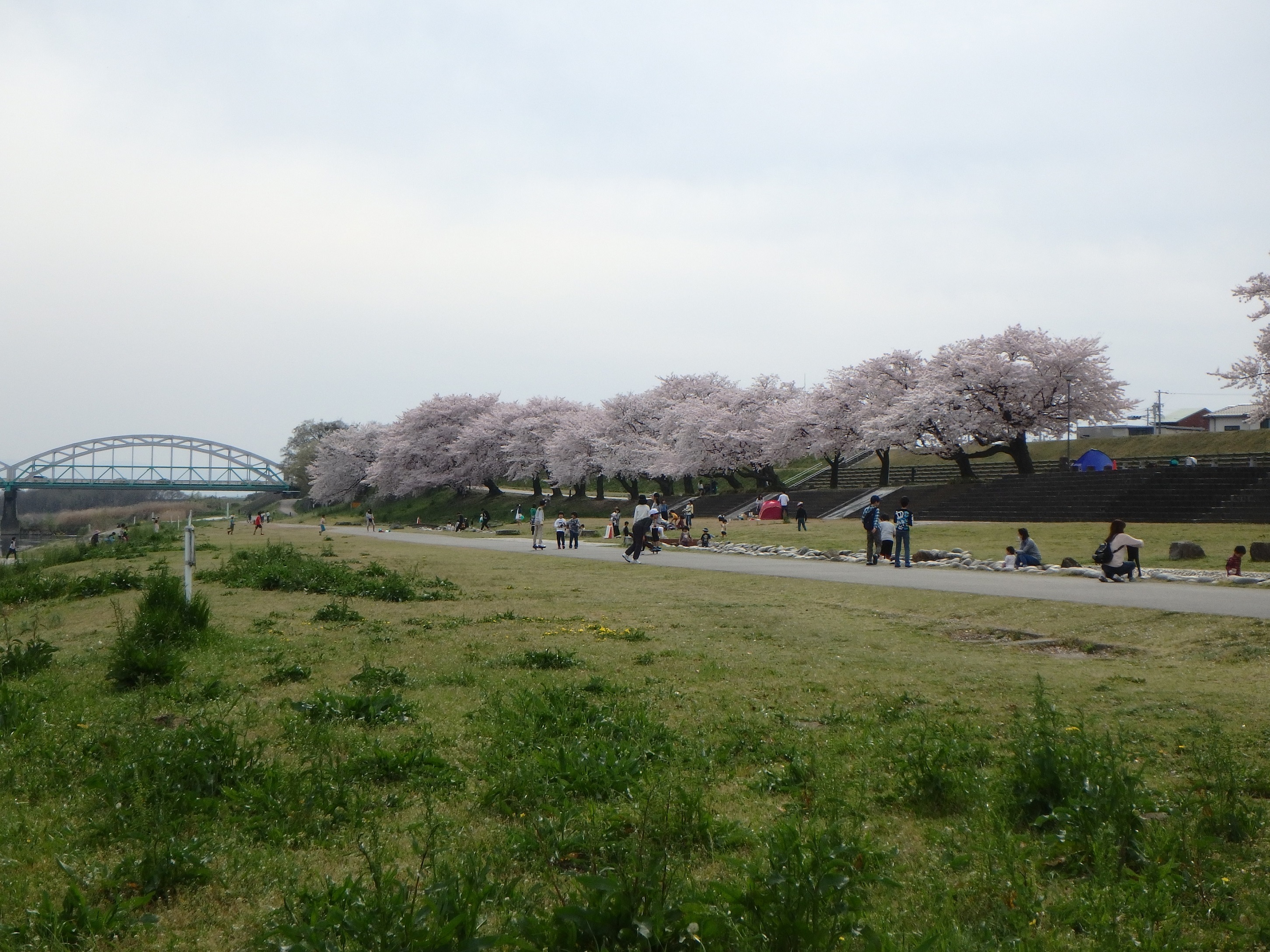 月日の流れが速いと感じるこのごろ