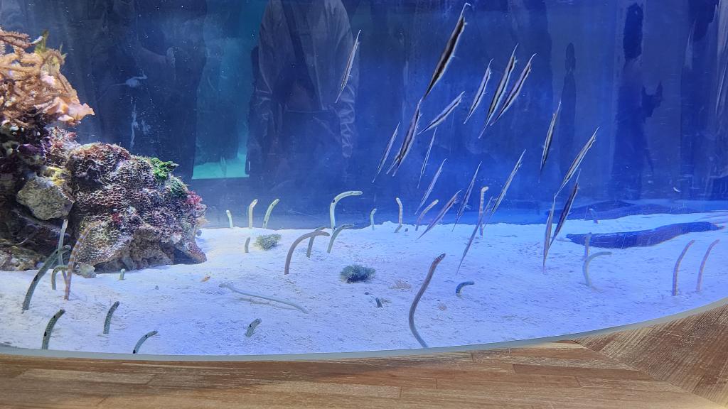 初めまして！！